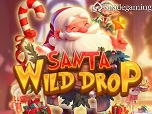 Santa Wild Drop game thumbnail